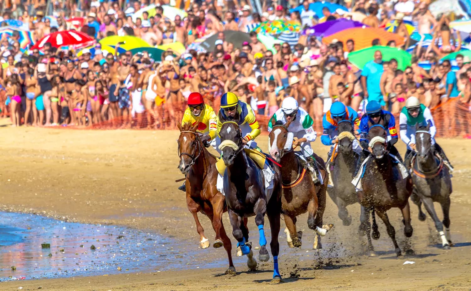 Betfair Automated Betting Bot Development background