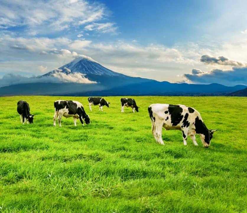 Milk Delivery App background